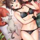 Подборка новых хентай - картинок (600 шт)