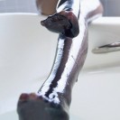 Лучшие фото хентая декабря