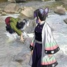 Залив hentai ecchi картинок