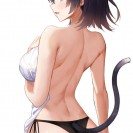 Пачка свежих эччи - картинок